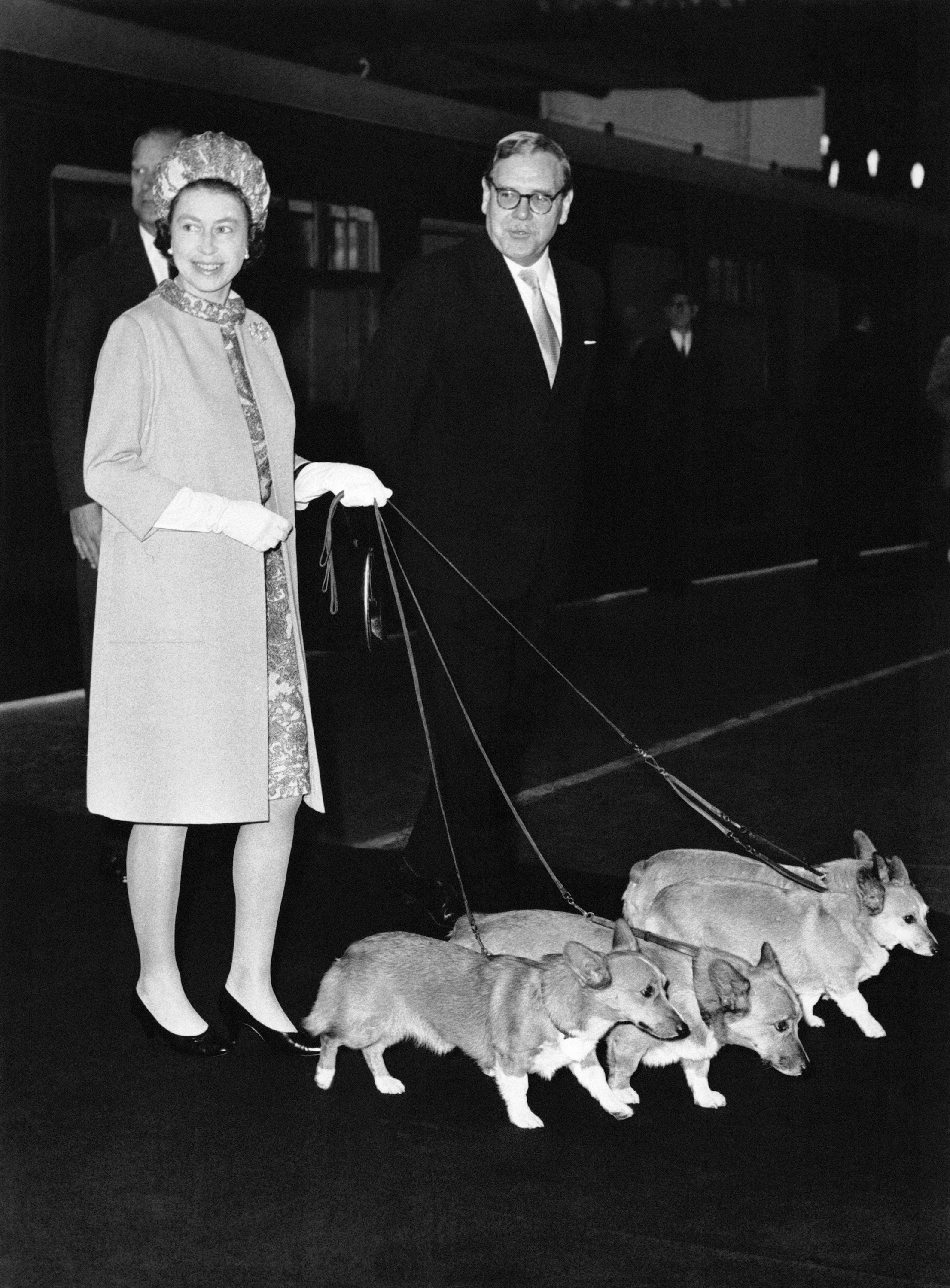 ​Los corgis de la reina Isabel II eran “psicópatas", según un nuevo libro 