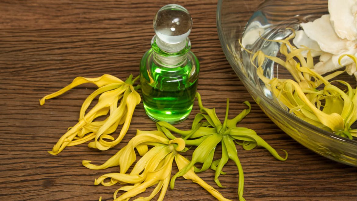 Usos y beneficios del aceite natural de ylang ylang