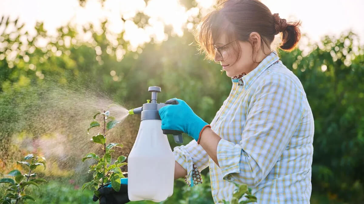 Cómo hacer un fungicida casero para tus plantas