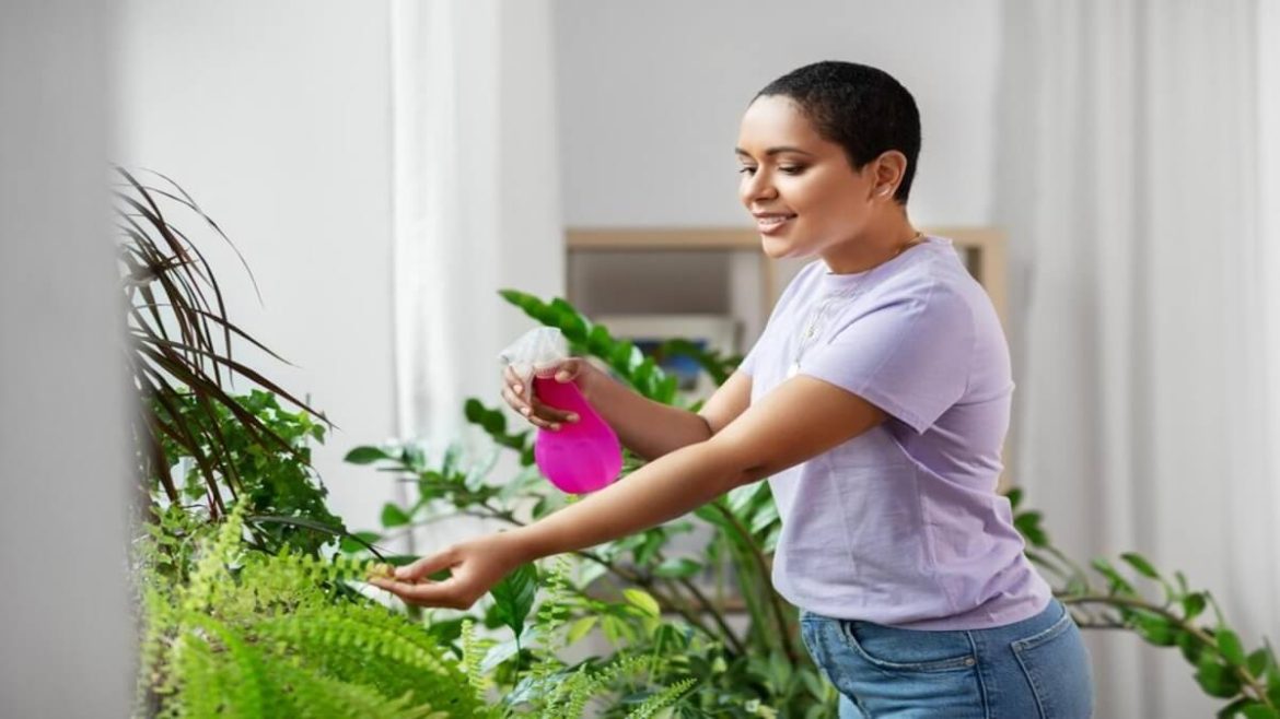 10 trucos para limpiar las hojas de tus plantas