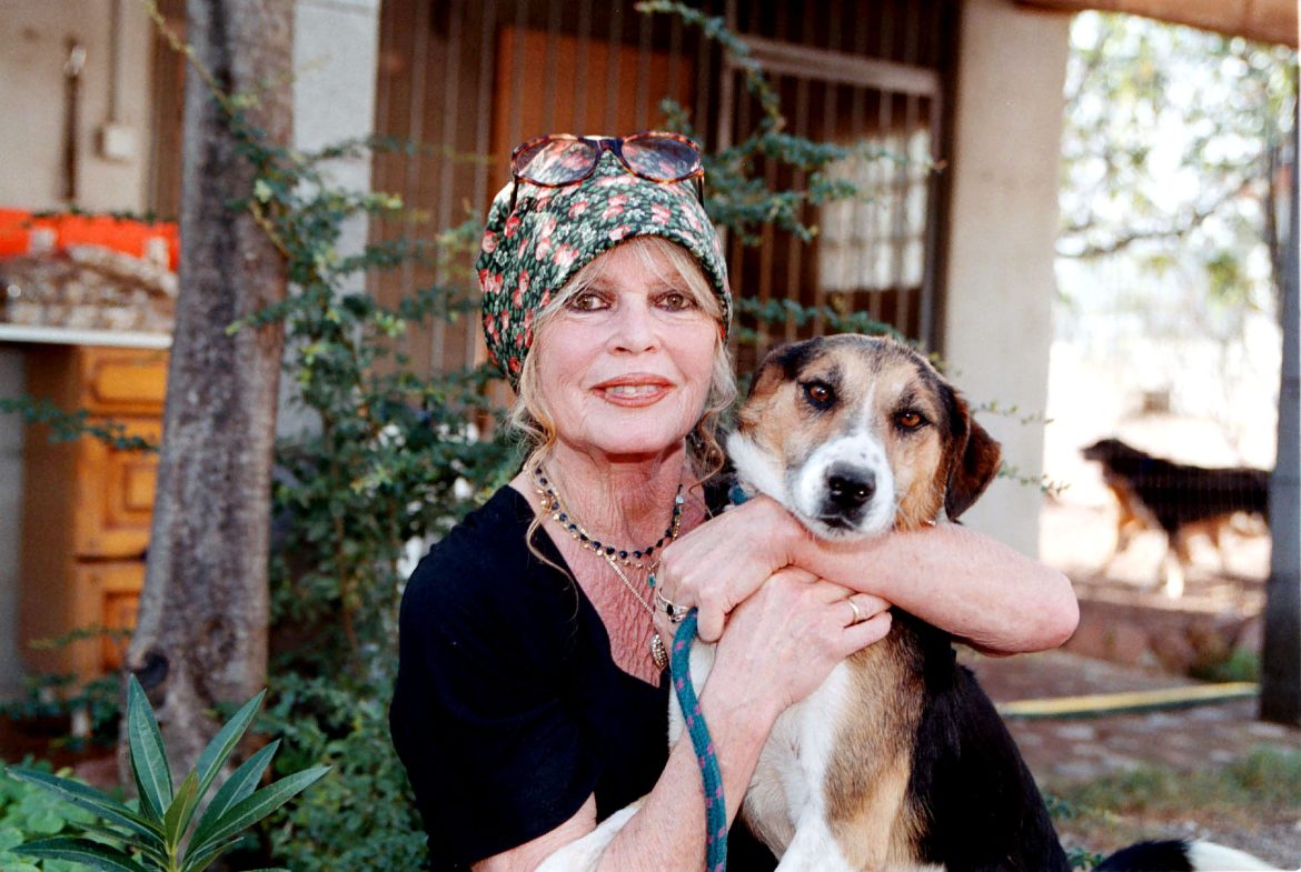 ​El lamento de Brigitte Bardot: “No reniego de la fama, pero nunca he podido tomarme un café en la terraza. Soy prisionera de mí misma» 