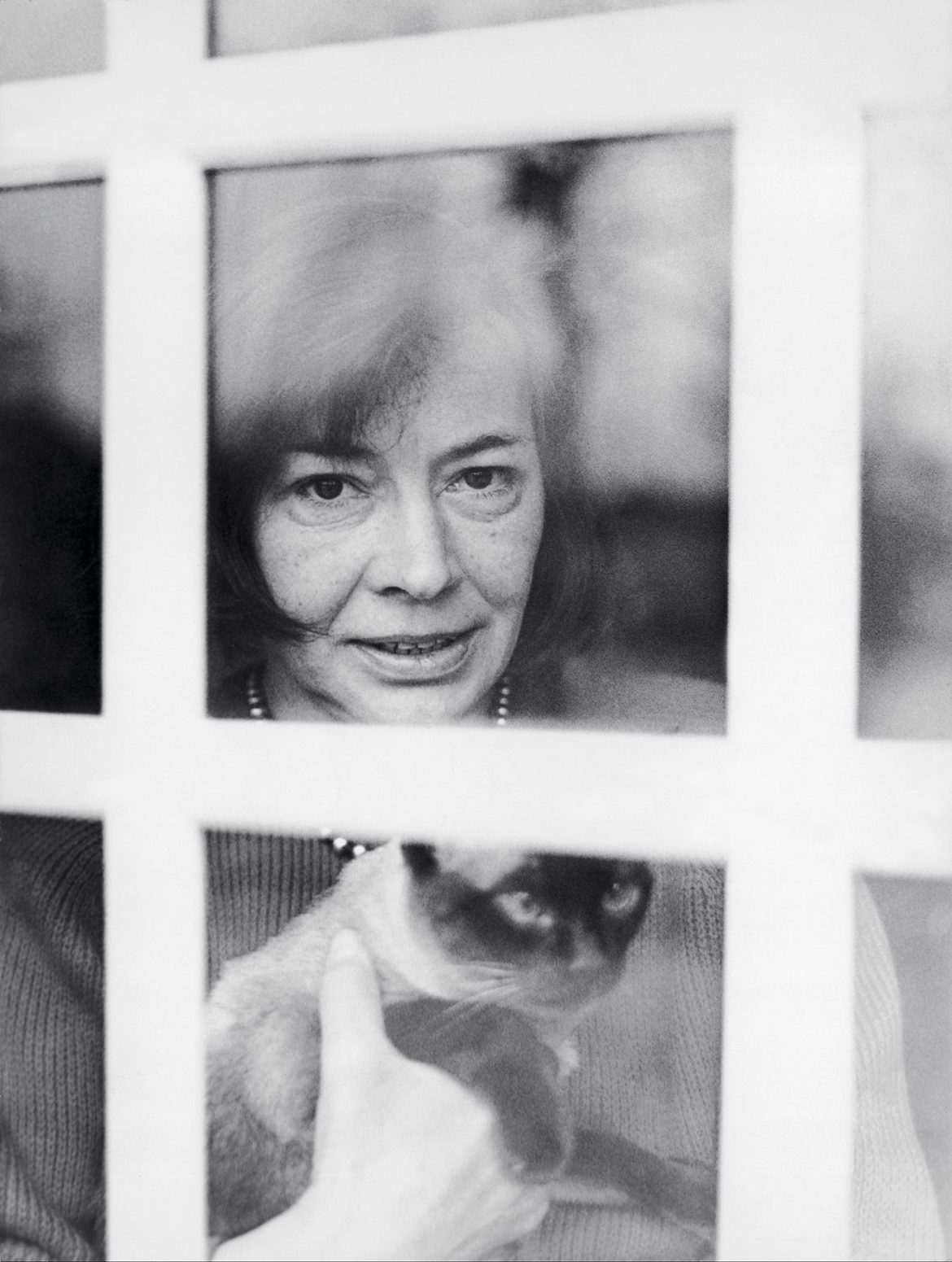 ​Patricia Highsmith, una escritora tan enigmática como sus compañeros más fieles 
