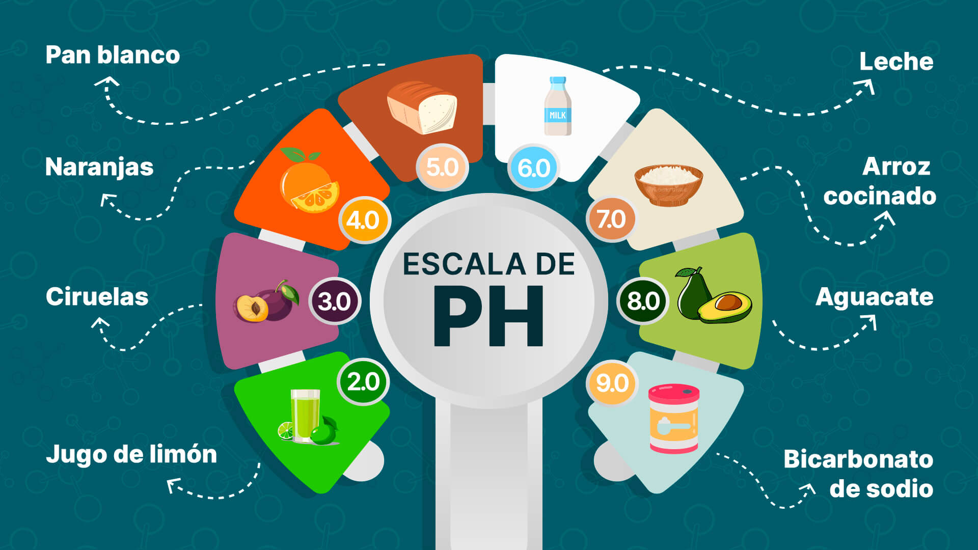 Conoce los alimentos ácidos y las consideraciones para su consumo