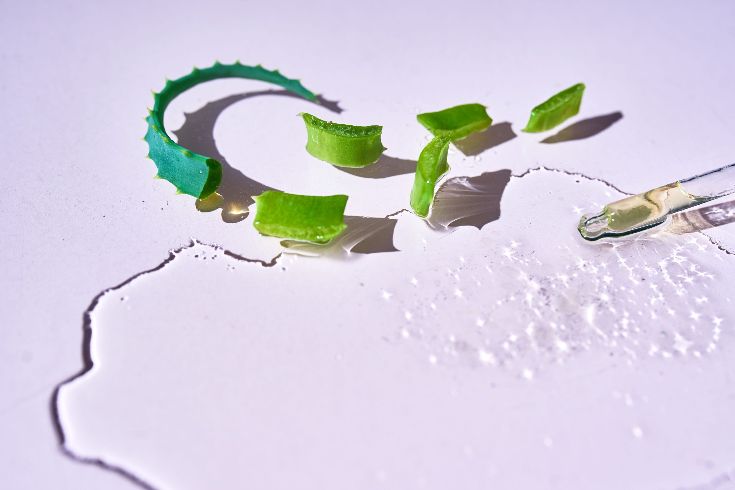 ​Aloe Vera: el verdadero cambio de juego en la rutina de belleza de verano (y estos son los mejores para la cara y el cuerpo) 