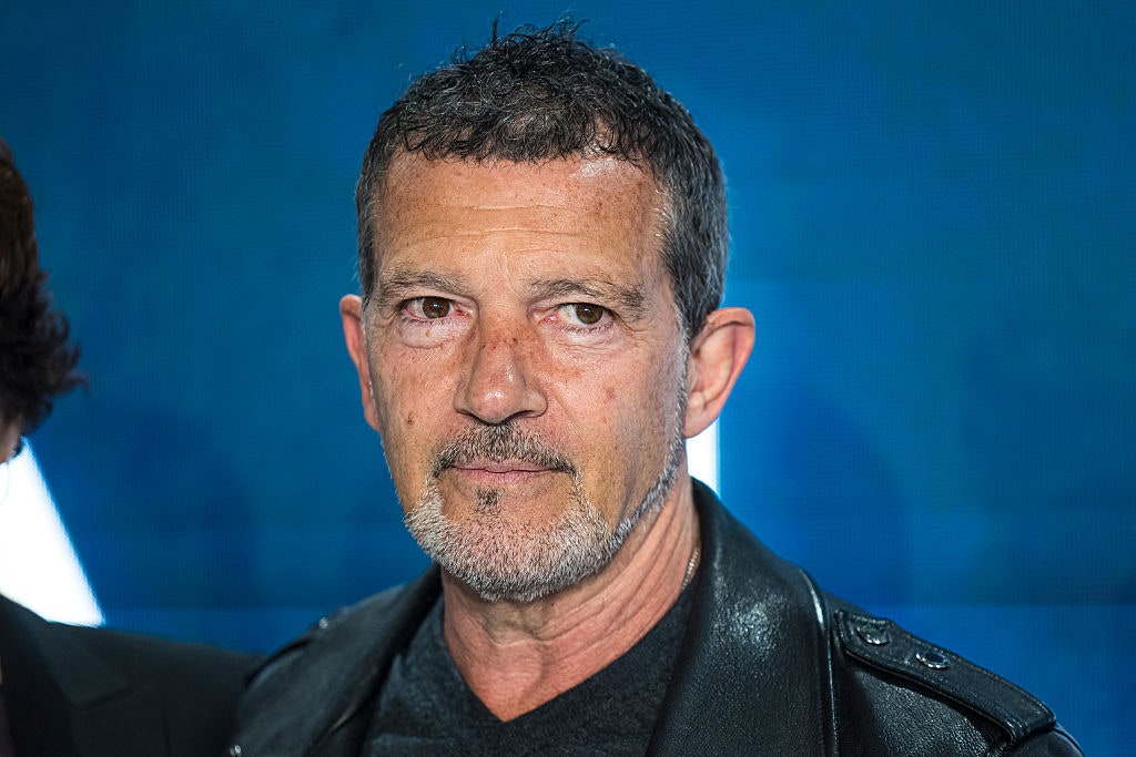 ​Antonio Banderas, orgulloso padre de un perrito llamado como su musical, Gypsy 