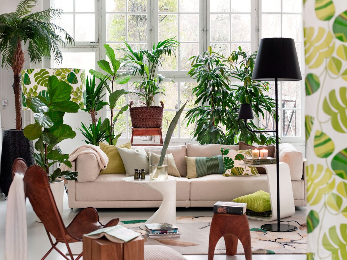 ​5 mejores accesorios para regar tus plantas en vacaciones 