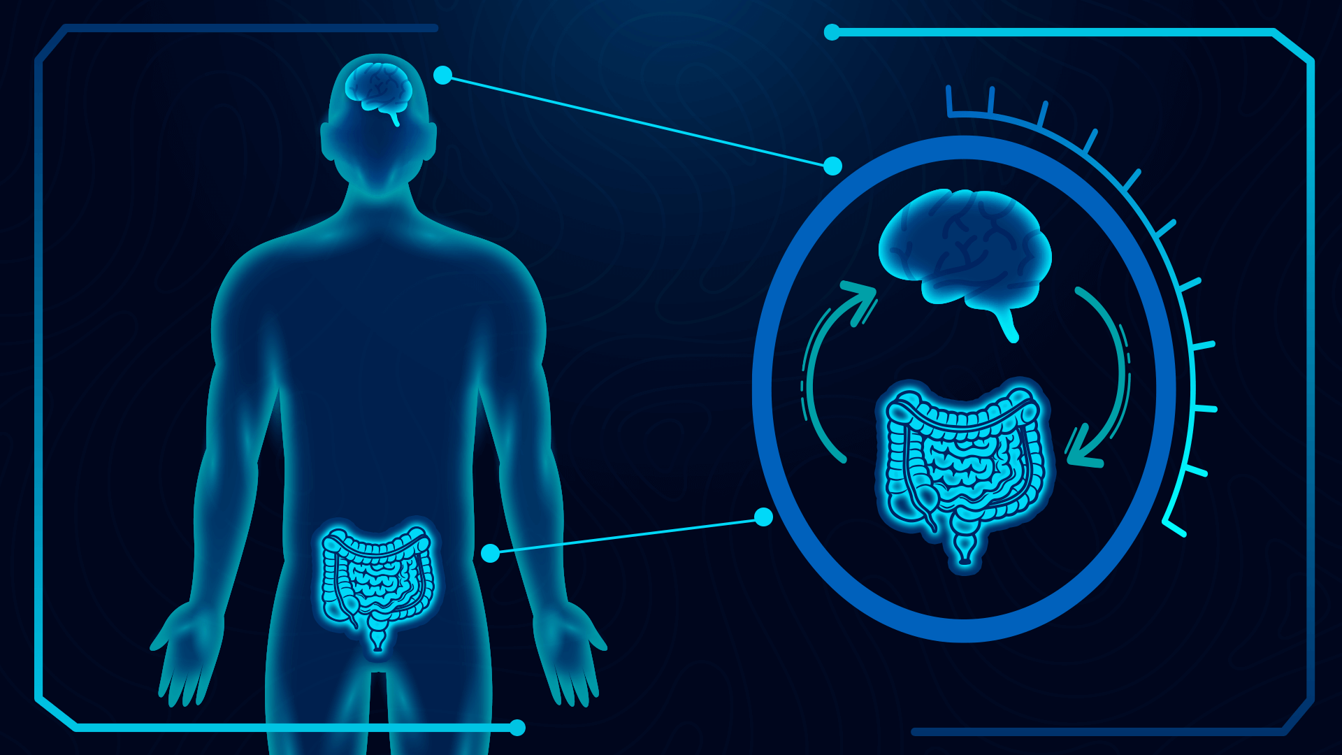 El intestino es nuestro «segundo cerebro» y puede influir en las emociones