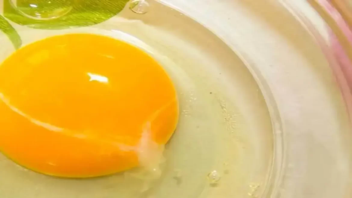 ¿Qué es el hilo blanco en la yema del huevo, se puede comer?