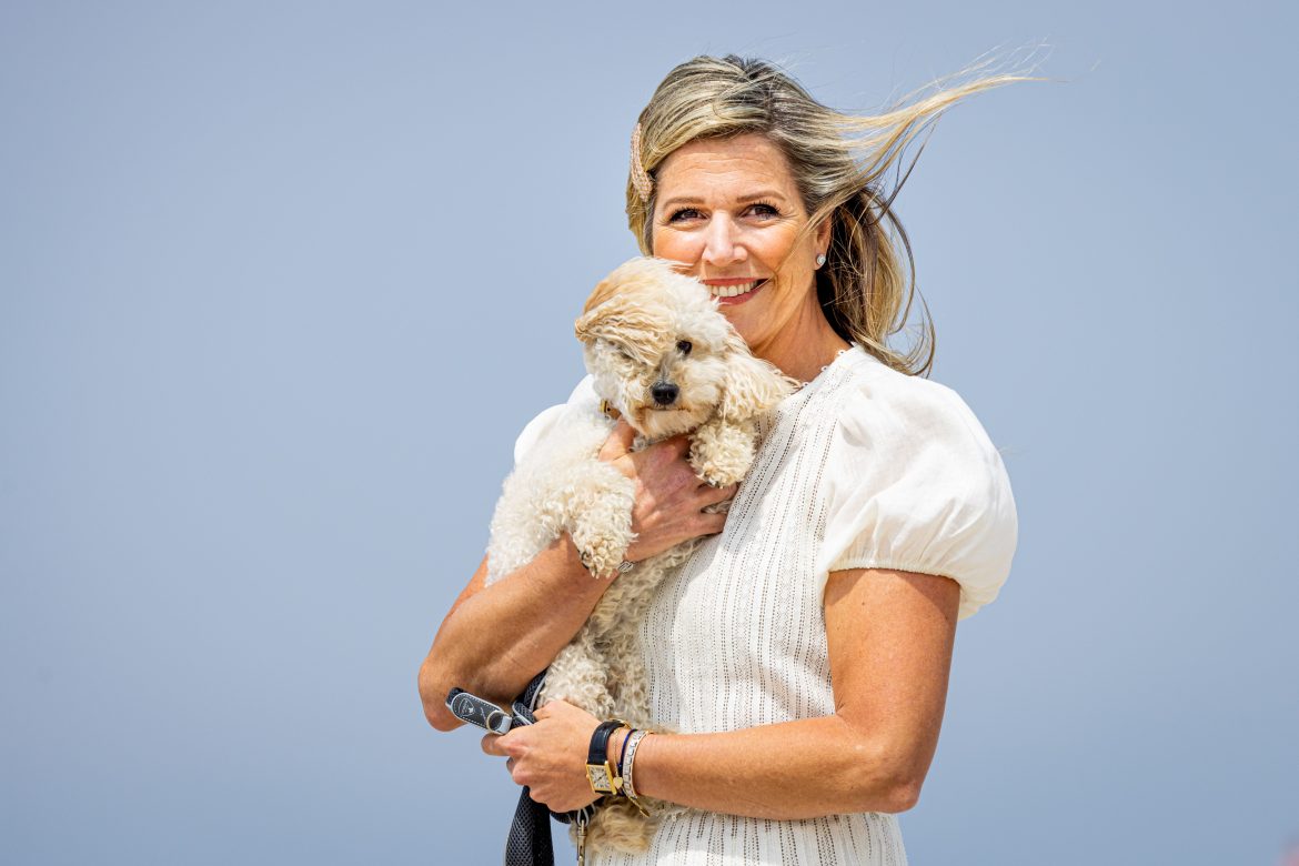 ​Máxima y Guillermo de Holanda amplían la familia: Mambo tiene un nuevo compañero 