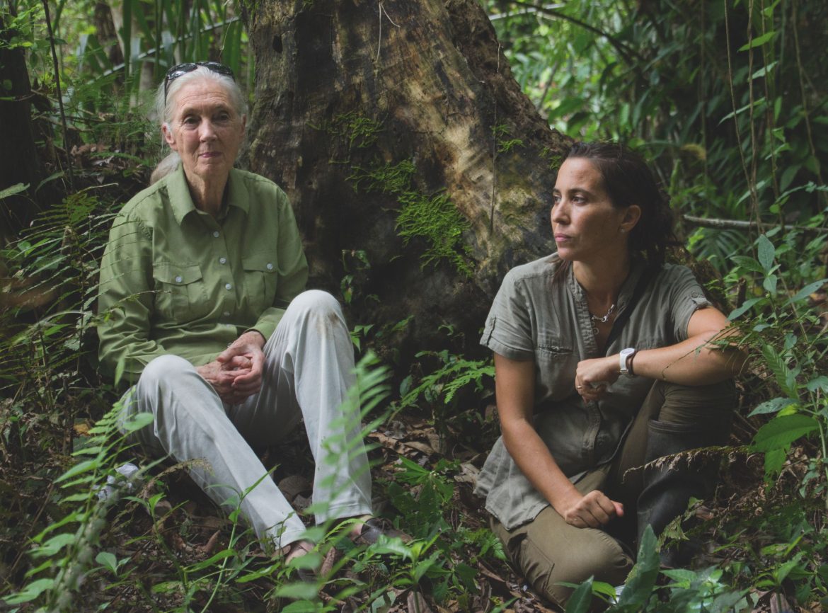 ​“He tenido que librar muchas batallas. Aprendí a ser resiliente”: Jane Goodall sobre los retos del activismo, los descubrimientos que la hicieron famosa y la española en la que más ha confiado, la veterinaria Rebeca Atencia 