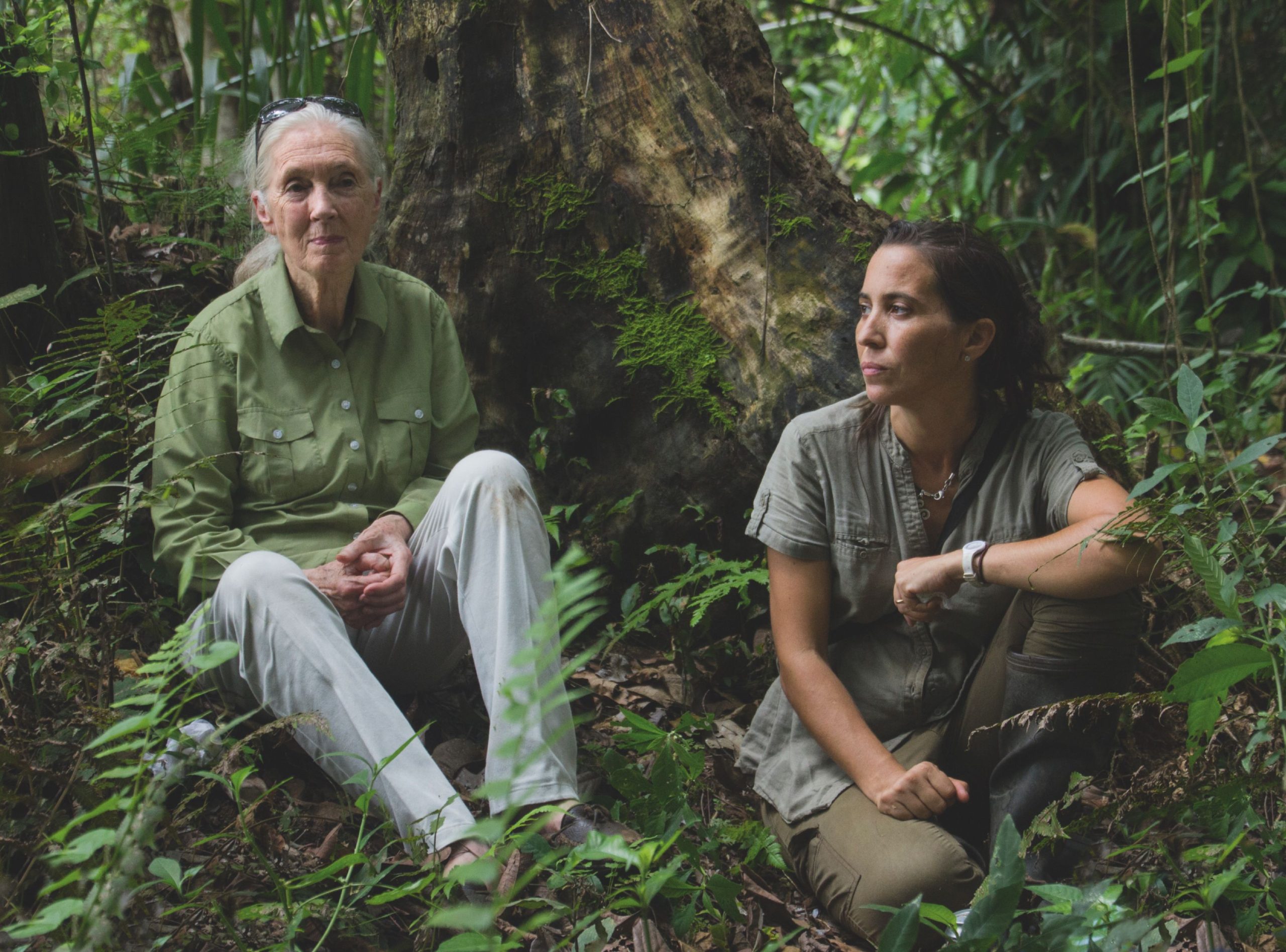 ​“He tenido que librar muchas batallas. Aprendí a ser resiliente”: Jane Goodall sobre los retos del activismo, los descubrimientos que la hicieron famosa y la española en la que más ha confiado, la veterinaria Rebeca Atencia 