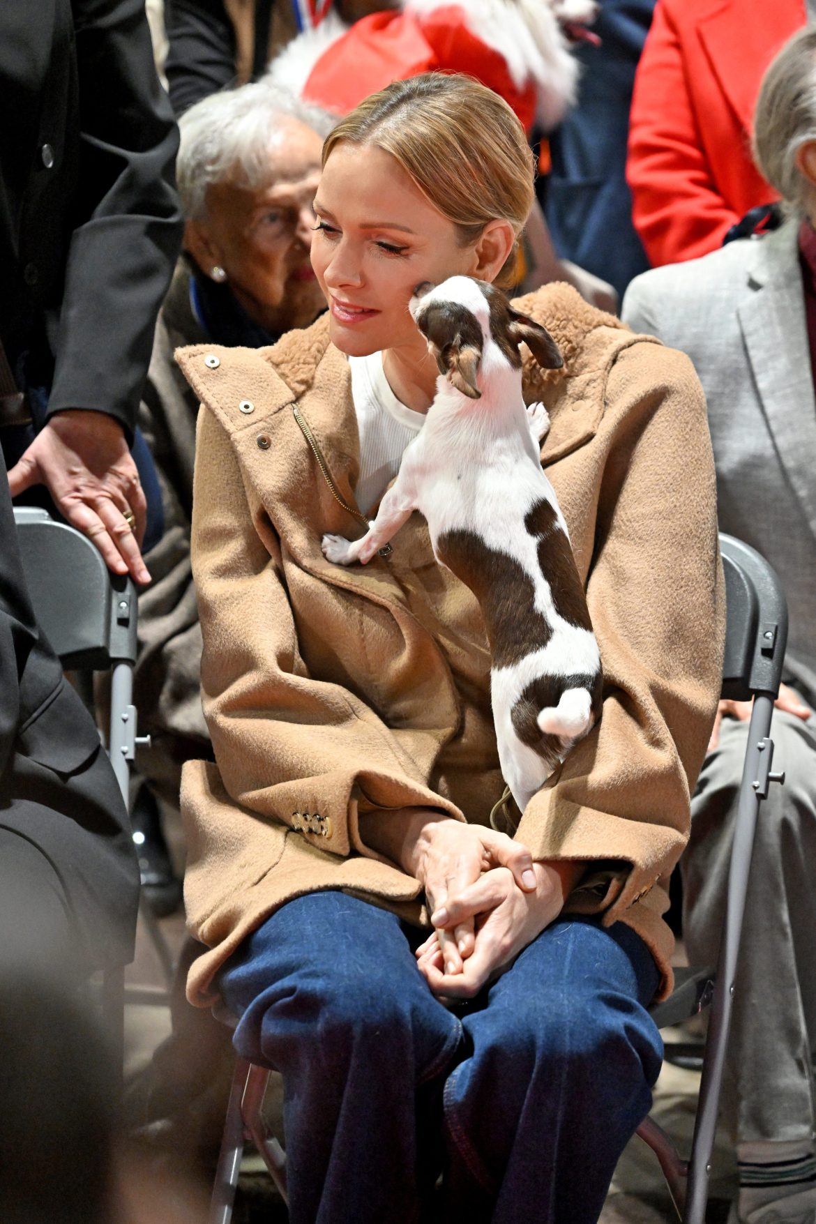 ​Charlène de Mónaco (con vaqueros y botas camperas) saca a pasear a su chihuahua Harley para apoyar la adopción de mascotas 