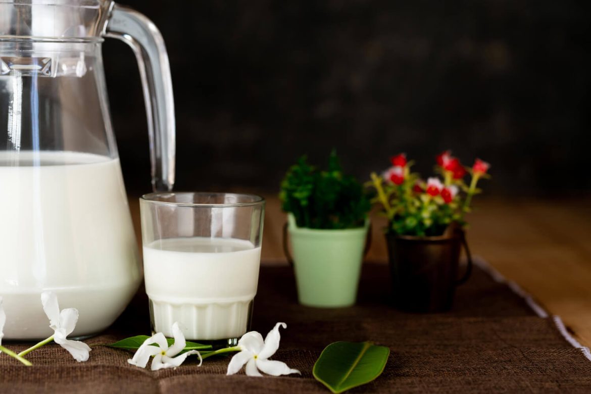 ¿Deberías regar tus plantas con leche? Esto dice la ciencia