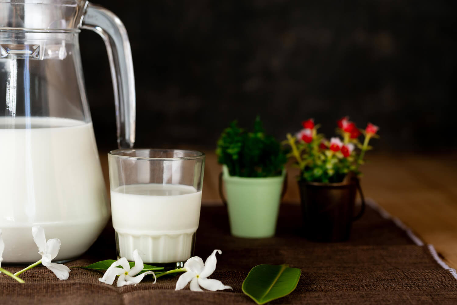 ¿Deberías regar tus plantas con leche? Esto dice la ciencia