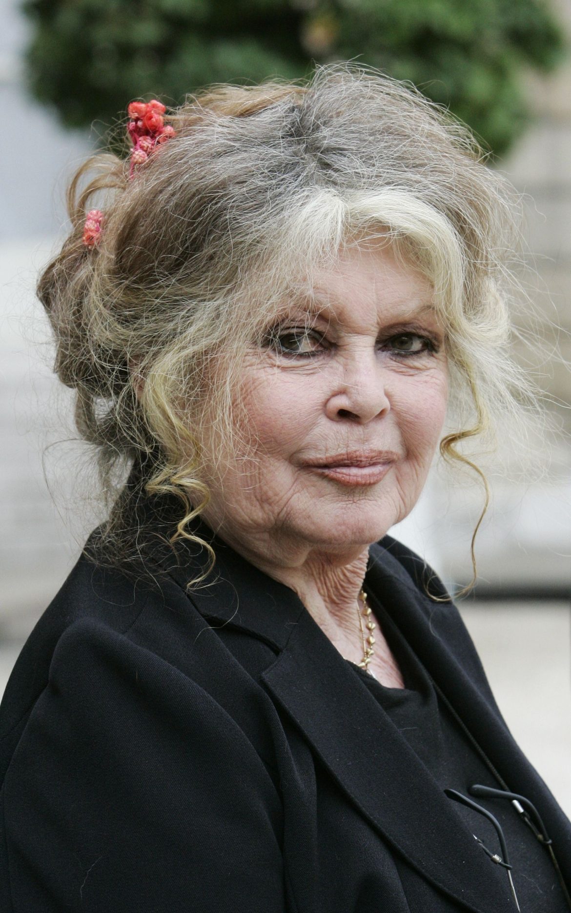 ​La herencia de Brigitte Bardot: todo para los animales menos la mitad del patrimonio, que le corresponde por ley a su hijo 