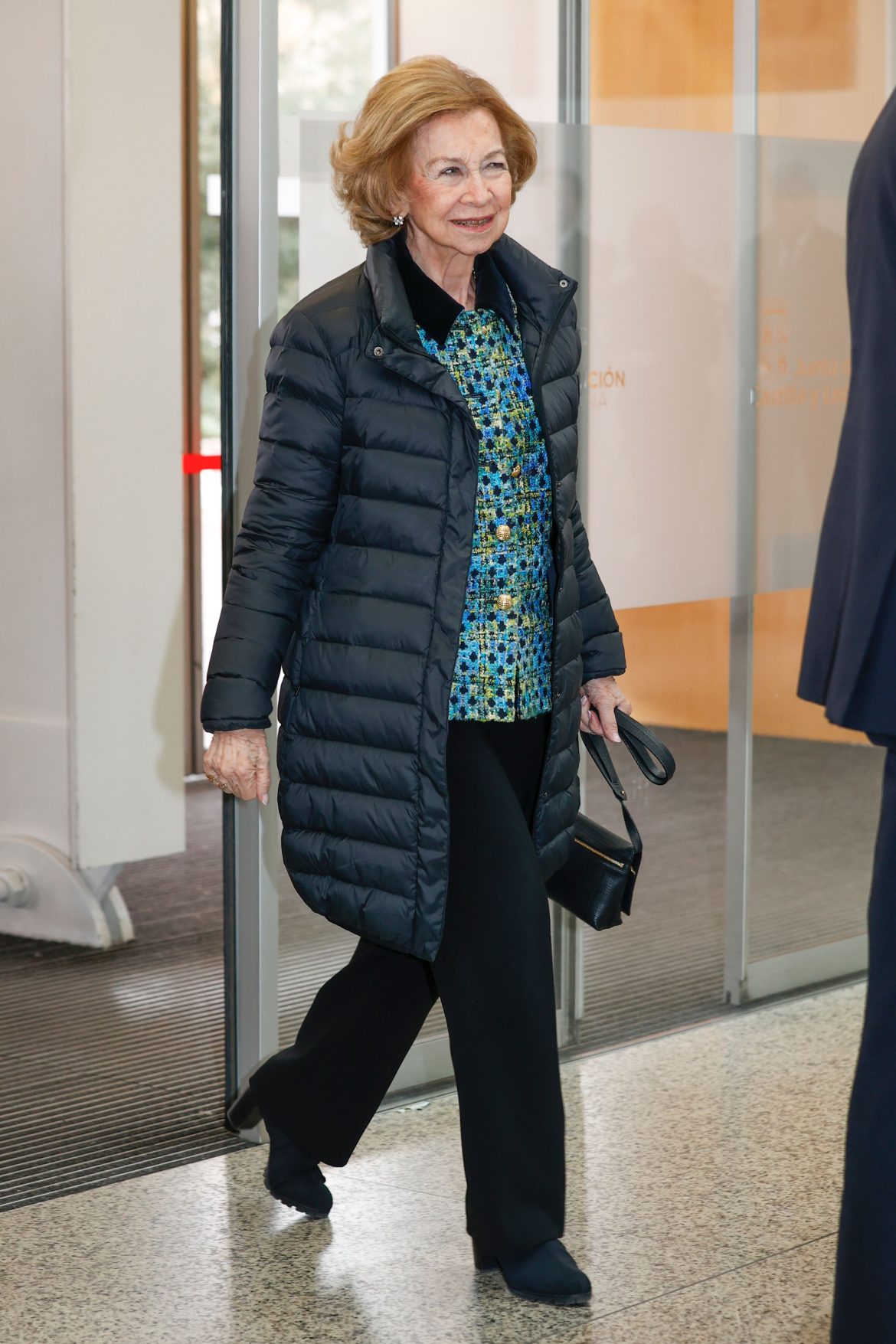 ​Botones joya y detalles de terciopelo: la reina Sofía preside los premios Evolución y Emiliano Aguirre en Burgos 