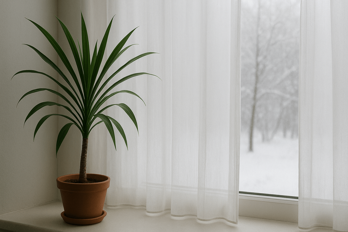 Los 6 cuidados para que tus plantas de interior no mueran en invierno