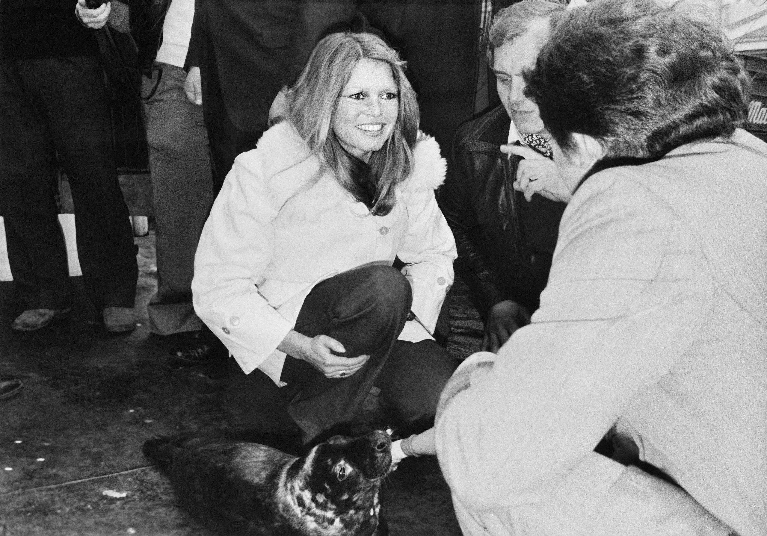 ​Margarita de Dinamarca contra Brigitte Bardot: la guerra por los abrigos de foca que ayudó a que Groenlandia prefiera un rey danés a Trump 