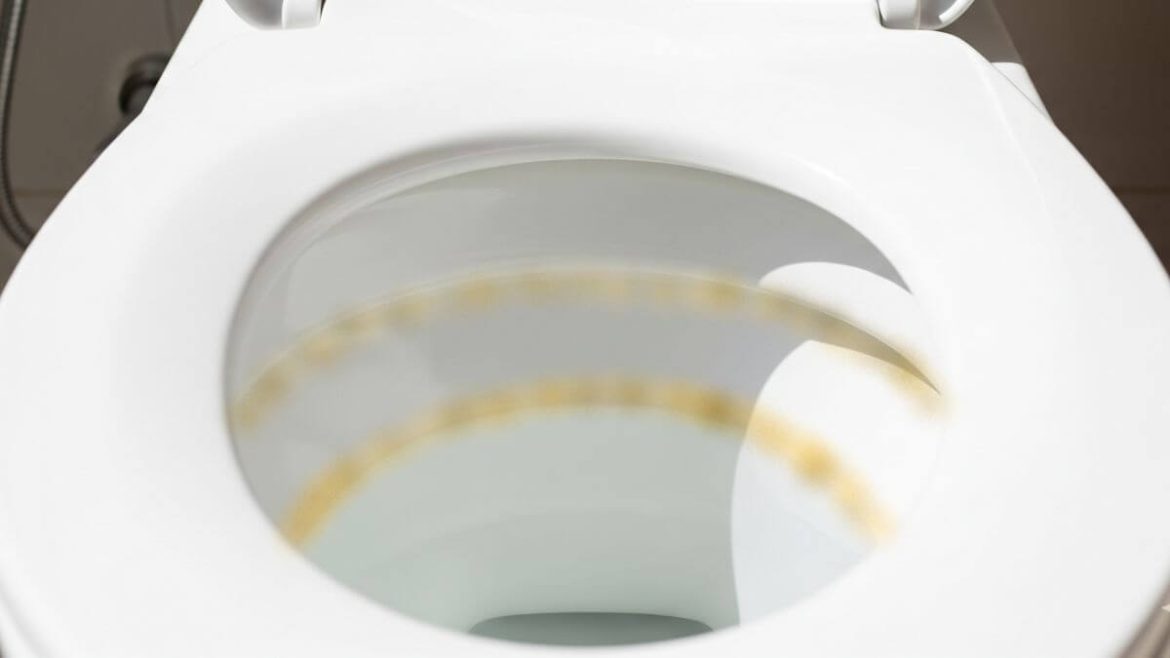 Línea marrón de sarro en el inodoro: cómo quitarla sin rayar la porcelana