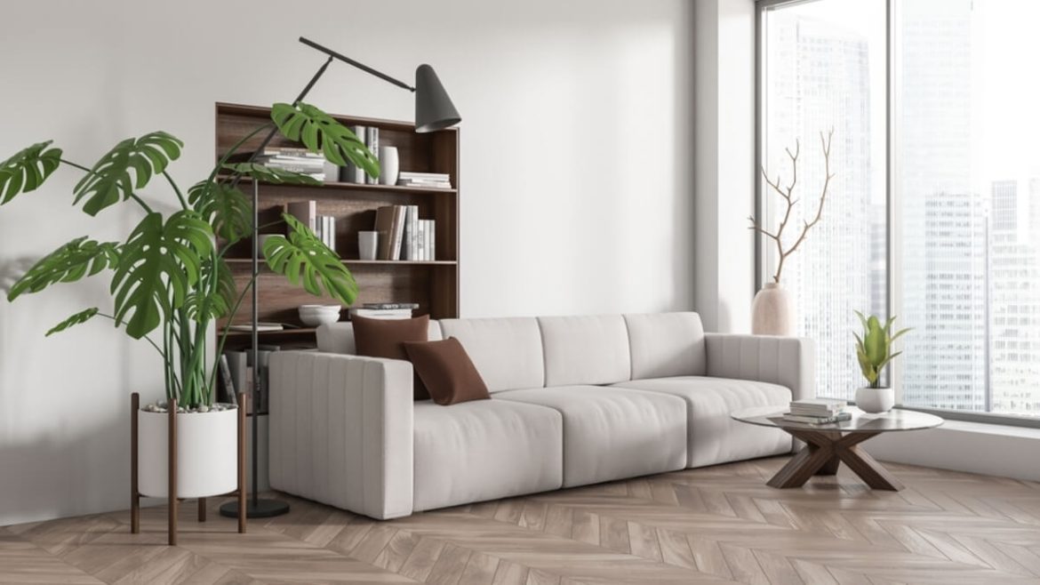 5 plantas grandes para salón que dan efecto “wow” a tus invitados