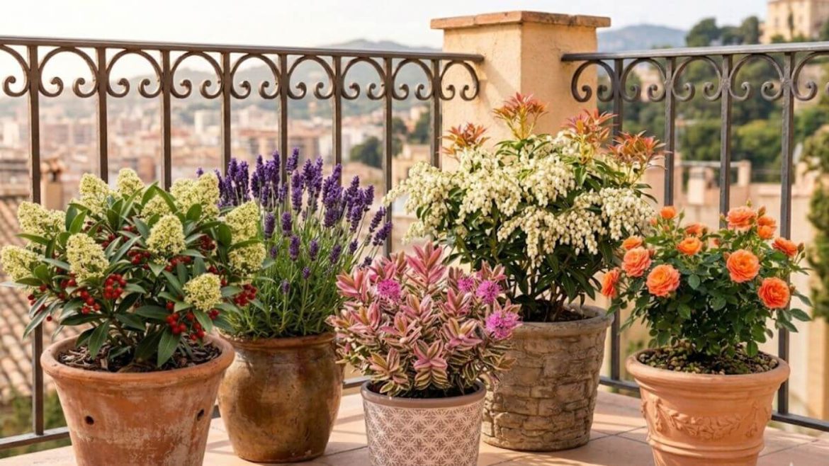 5 arbustos de maceta para decorar tu casa sin depender de flores