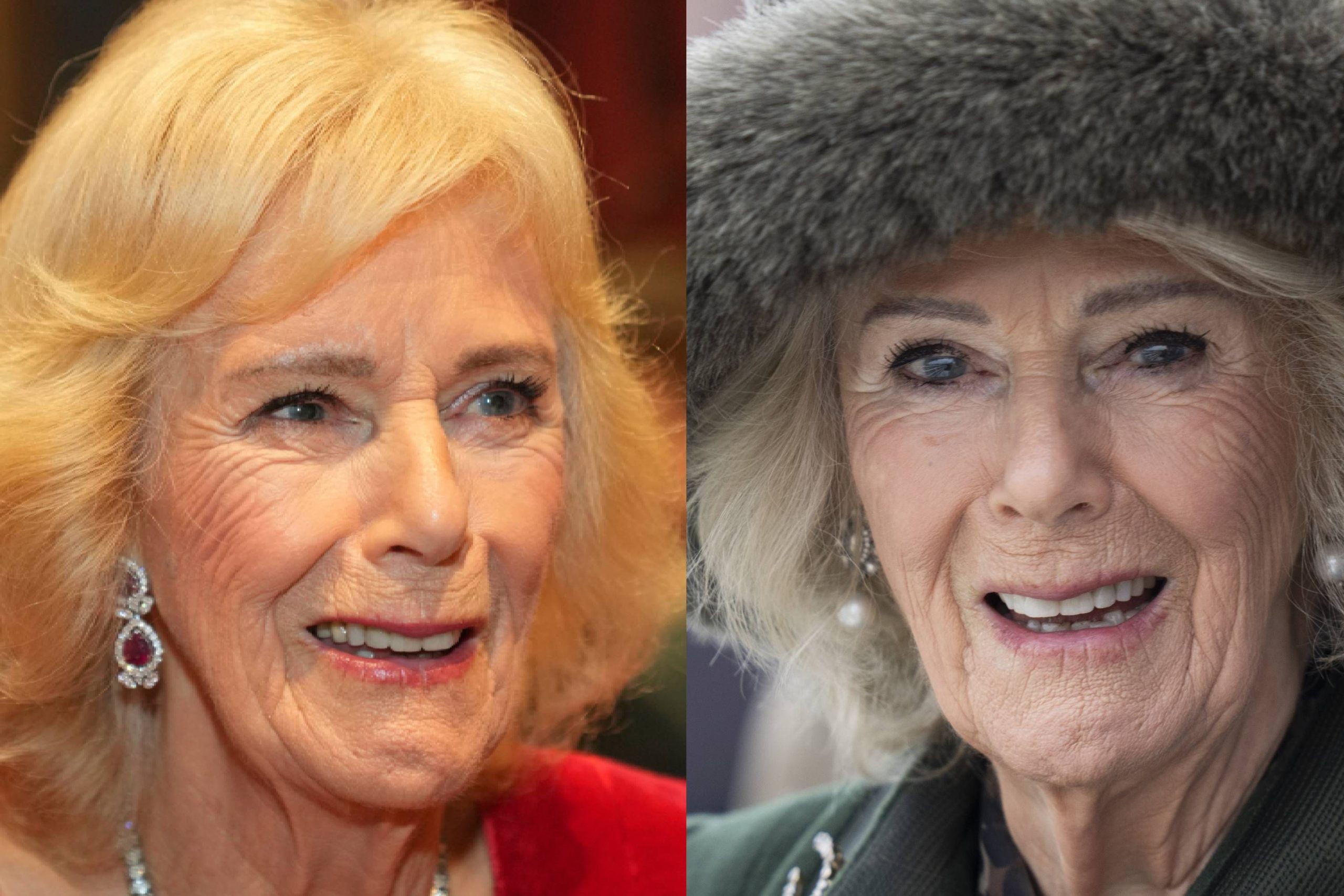 ​La transformación de las cejas de Camilla: un tatuaje semipermanente… ¿obra de la misma especialista que Dua Lipa? 