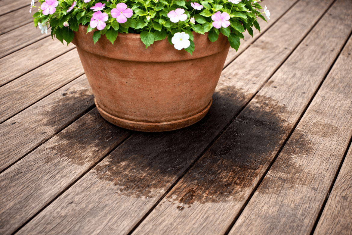 Manchas negras bajo las macetas: cómo eliminarlas de los pisos de madera, cerámica y alfombras